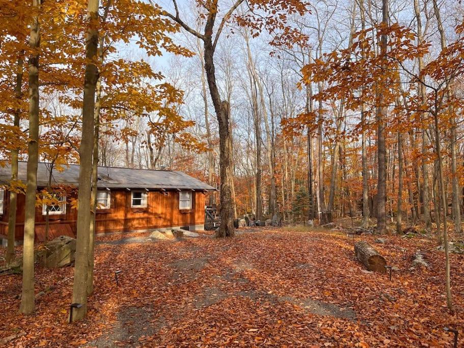 Stylish And Cozy Cabin, Walking Distance To Big Bass Lake Gouldsboro Eksteriør bilde